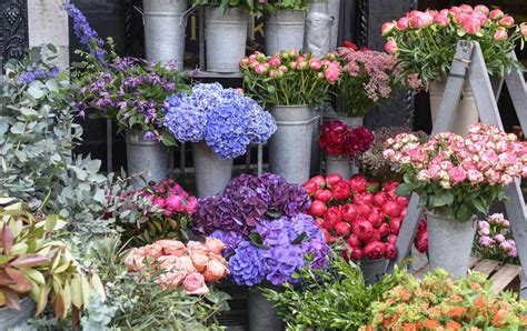 flower shop in london.